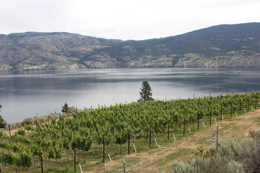 Hotel Sunshine&Wine Loft Penticton Exterior foto